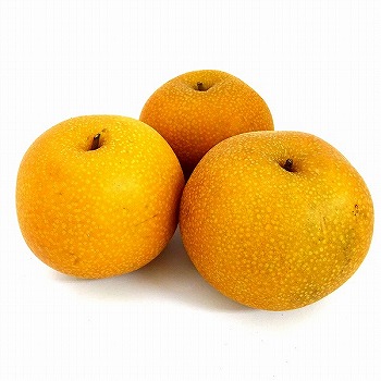 旬です❗甘い珍品種 もりのかがやき 家庭用１０kg２８ー３２個 - フルーツ